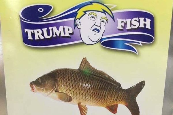Welcome to Trump Fish!