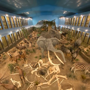 A view of the enormous centerpiece of African animals