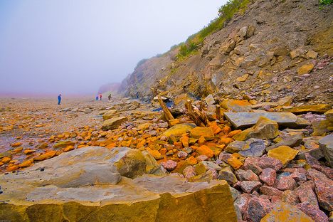 Joggins Fossil Cliffs