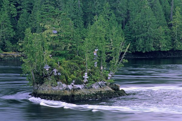 The island is said to tremble from the sheer force of Nakwakto Tidal Rapids.