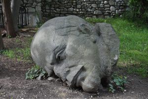 Photo of Georgia