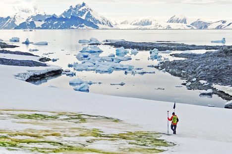U.K. researcher Andrew Gray geotags snow algae blooms on Anchorage Island, Antarctica.