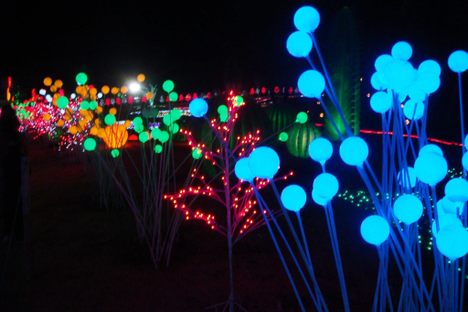 pictures from 2013