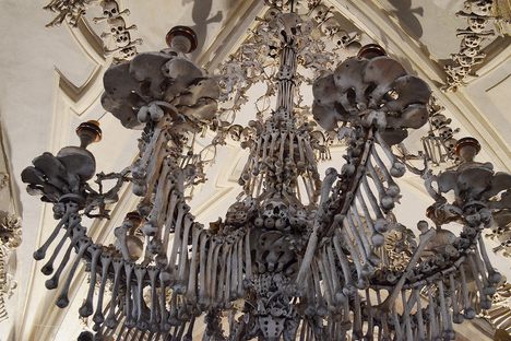 Curious Fact of the Week: How to Make a Bone Chandelier