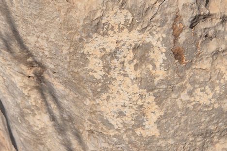 Person petroglyph