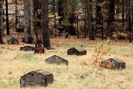 Spirit Houses ~ Ellements Photography
