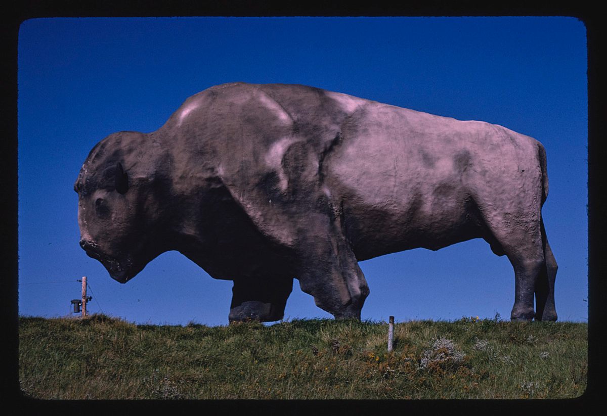 A 60-ton buffalo in Jamestown, North Dakota—the world's largest.*