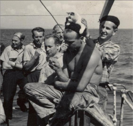 Finnish sailors playing with a cat. 