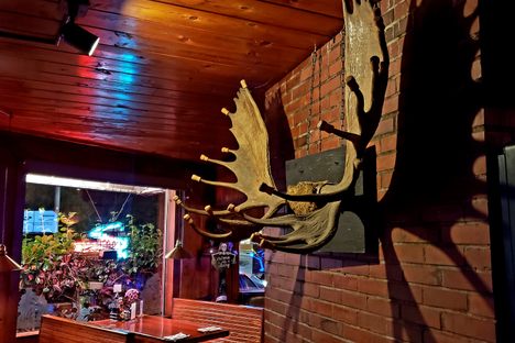 Unique Moose Antler Decor
