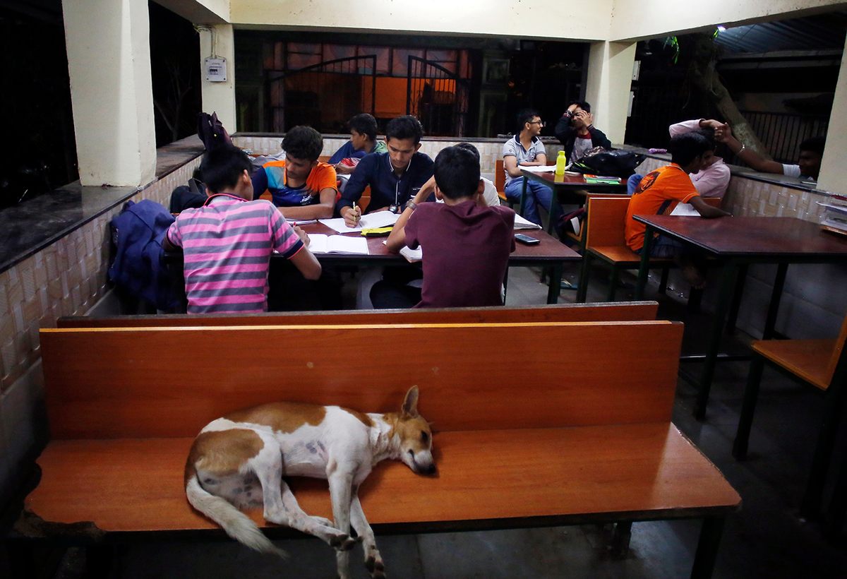 As a dog naps, students work together inside the S.K. Patil Udyan (Study Garden) on Charni Road, just 650 feet from a noisy train station.