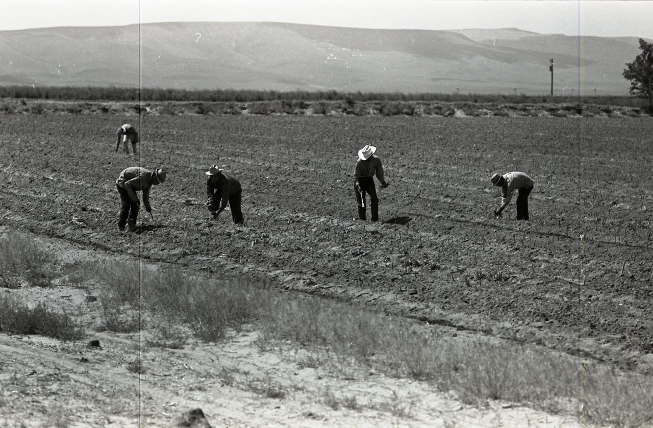 How Photos Tell The Story Of A Migrant Farm Community To A New 