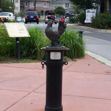Rooster and pedestrian-friendly median