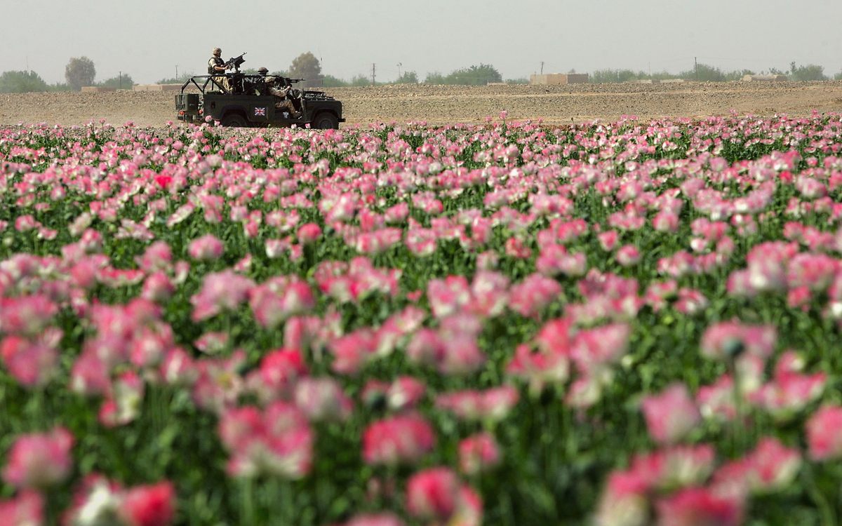 British soldiers drive past a field of heroin poppies in Helmand province in 2006. Opium has traditionally been a significant export of Afghanistan.