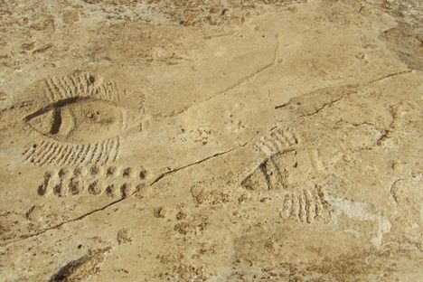 Al Jassasiya Petroglyphs