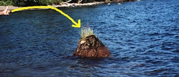 It's like the Nessie of geographical quirks.