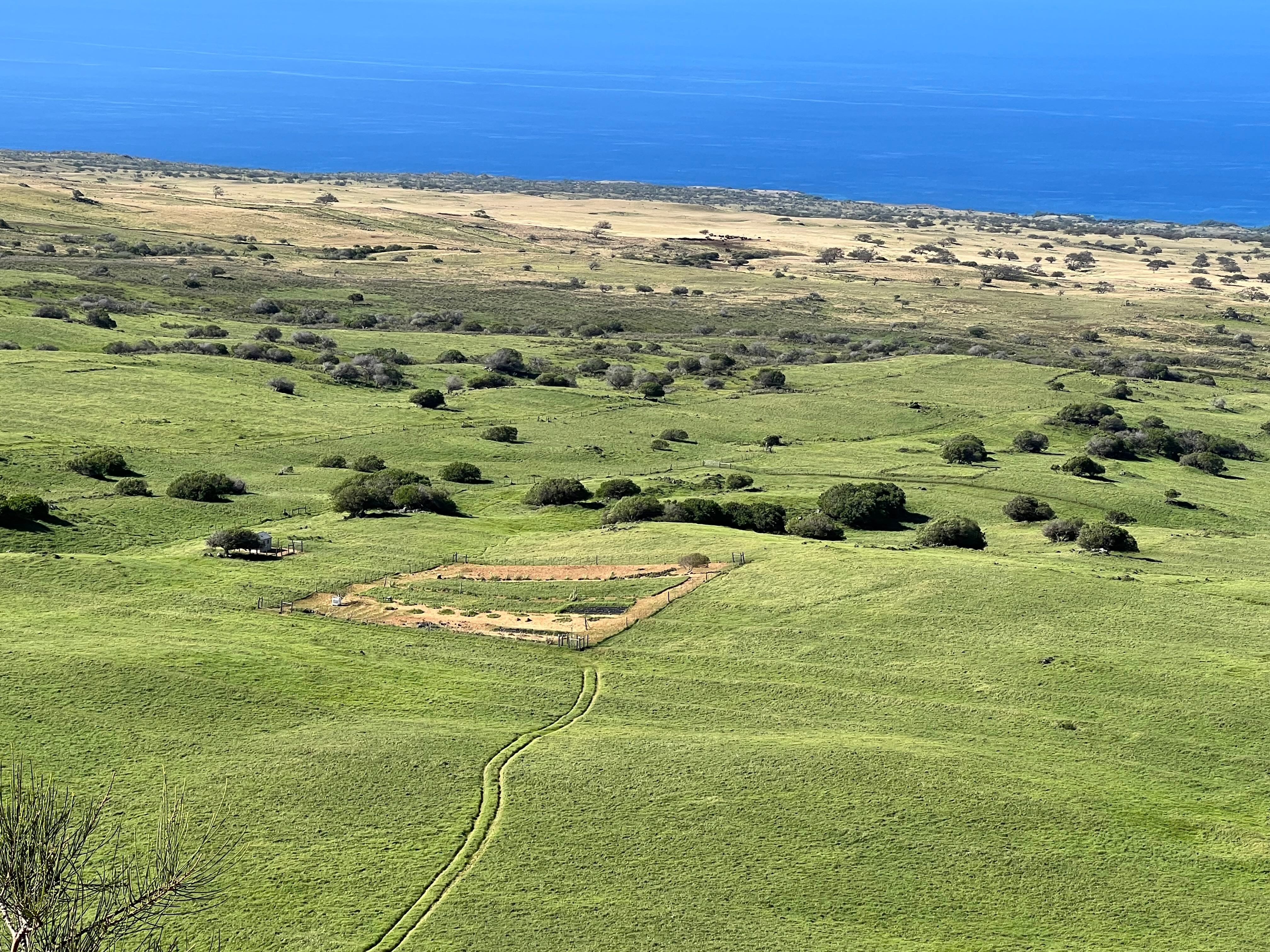 A garden (here, the square patch) sits in the center of the "sweet spot," a stretch of land that gets just the right amount of rain for crops.