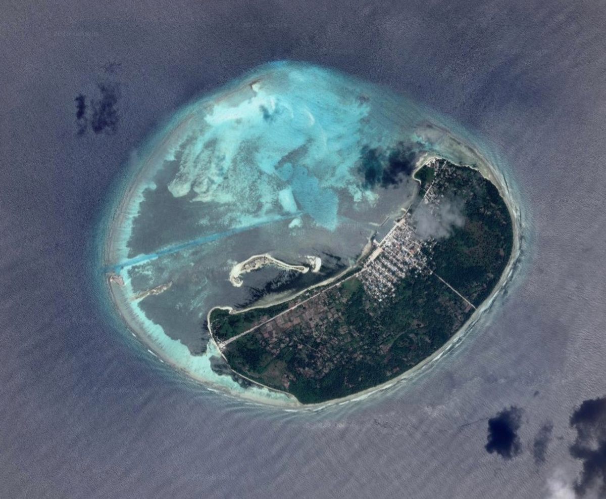 The island of Kaashidhoo is one of the largest in the Maldives. Many of its palm trees have been sold to developers for use on resort islands.