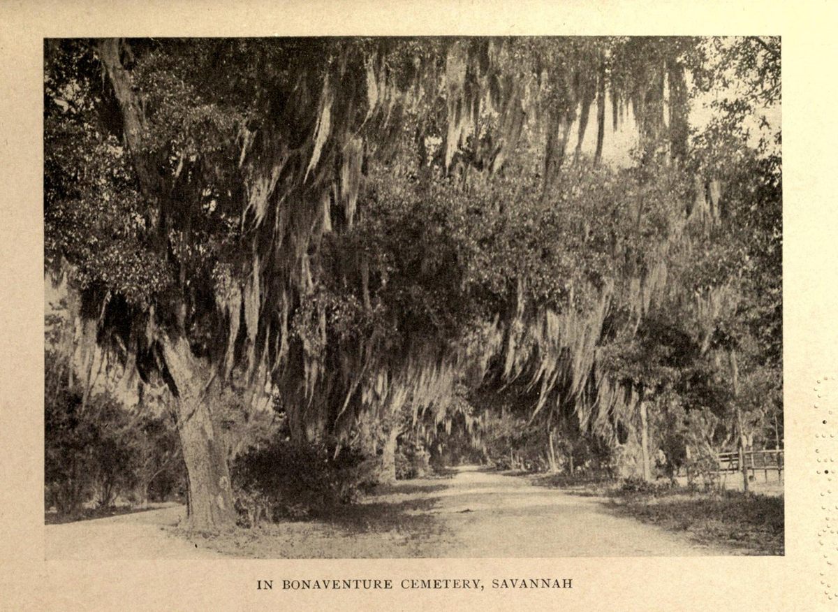 One of the sites of Muir's walk, the Bonaventure Cemetery.