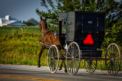An Amish buggy. 