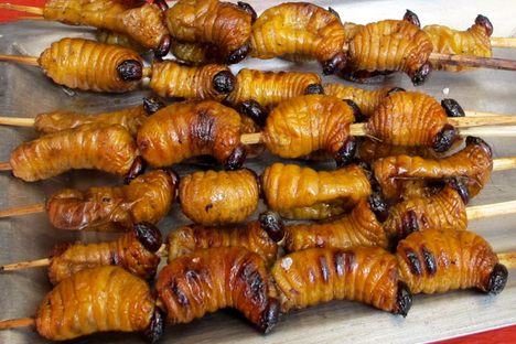 Skewered suri grubs, anticuchos-style.
