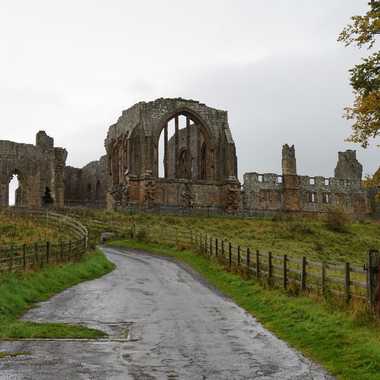 The abbey ruins.