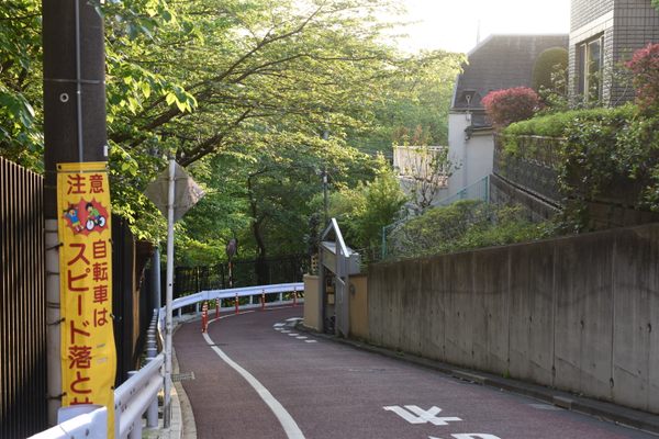 Tokyo used to have decidedly hillier terrain.