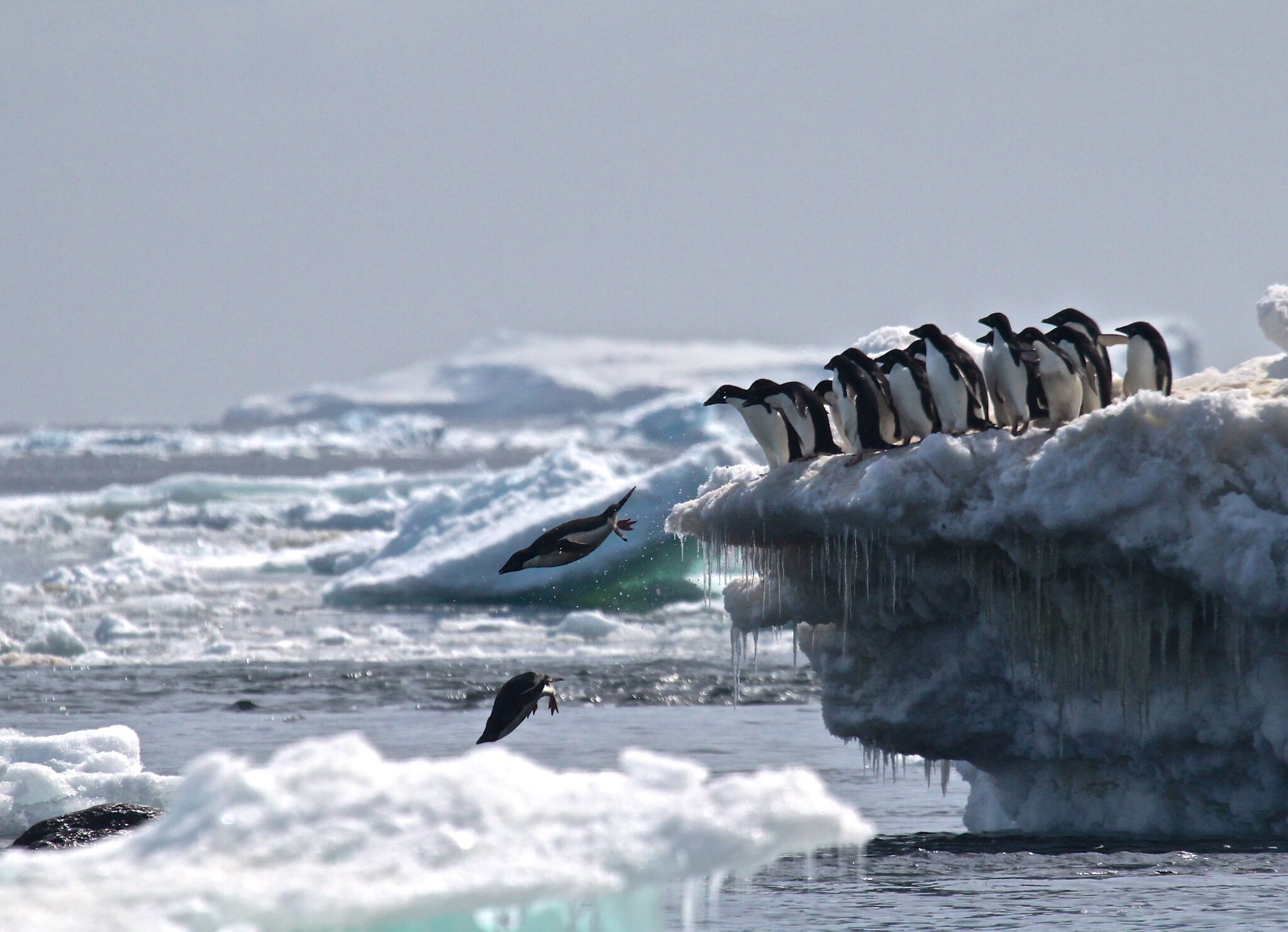 Is glacier ice actually rock? - Woods Hole Oceanographic Institution