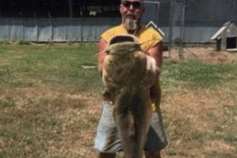 Caught: An 80-Pound Catfish With Less-Than-Great Equipment