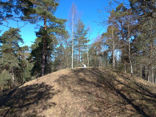 Björn Järnsidas Hög Björn Ironsides Mound - Ekerö V, Suecia