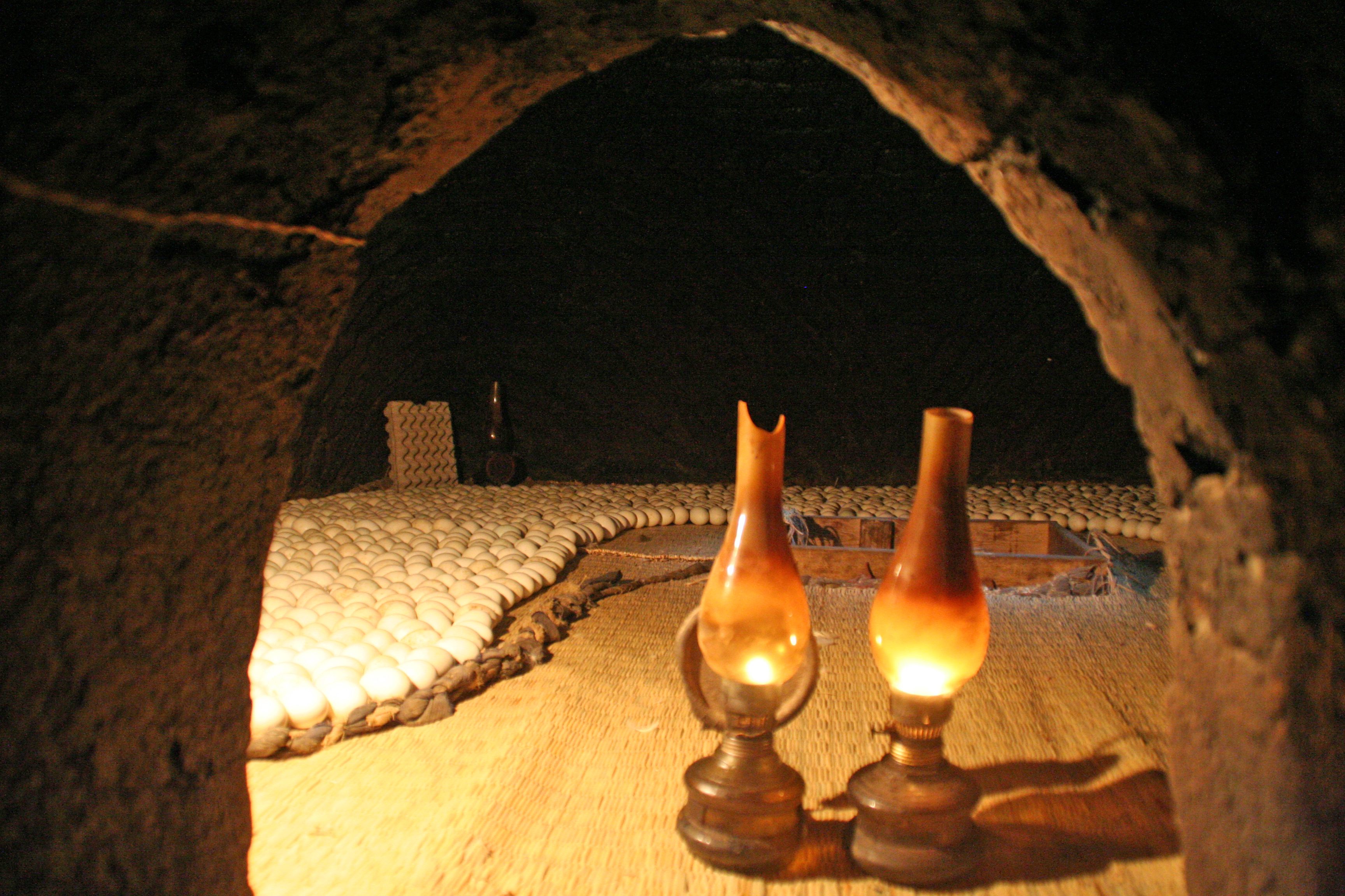 Petrol lamps are used to warm eggs.