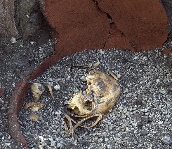 The human remains found at the site belonged to the barkeep and one other person.