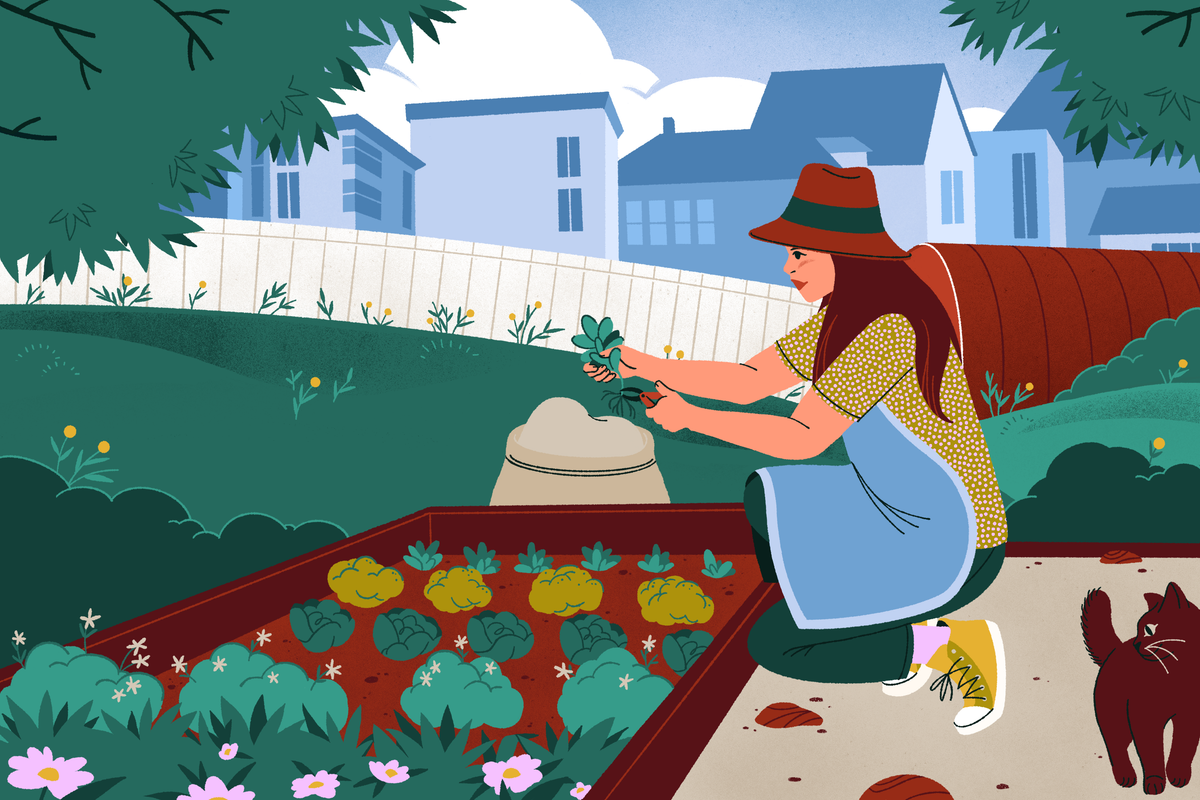 Look closely at the plants along your journey.