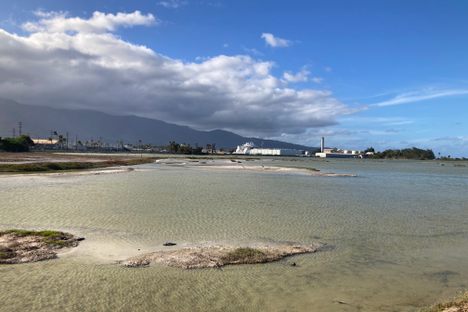 Kanahā Pond