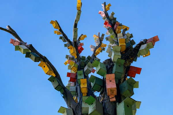 The Birdhouse Tree of Riga in Rīga