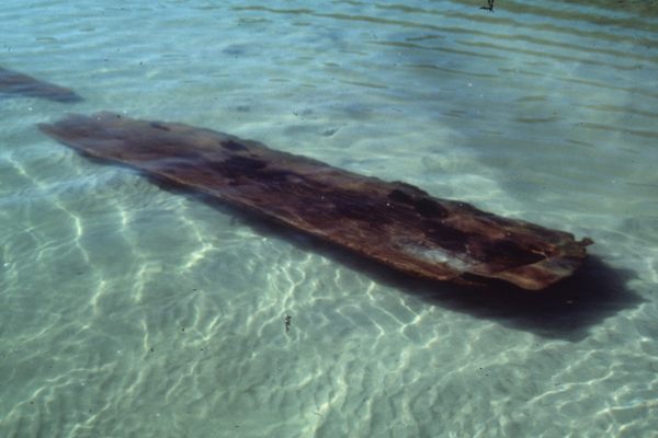 Submerged dugout canoe.