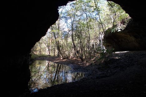 From The Inside Looking Out.