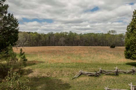 Surrender Field
