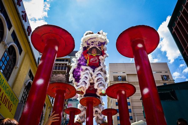 A lion dance performer during Lunar New Year in Kuala Lumpur. 