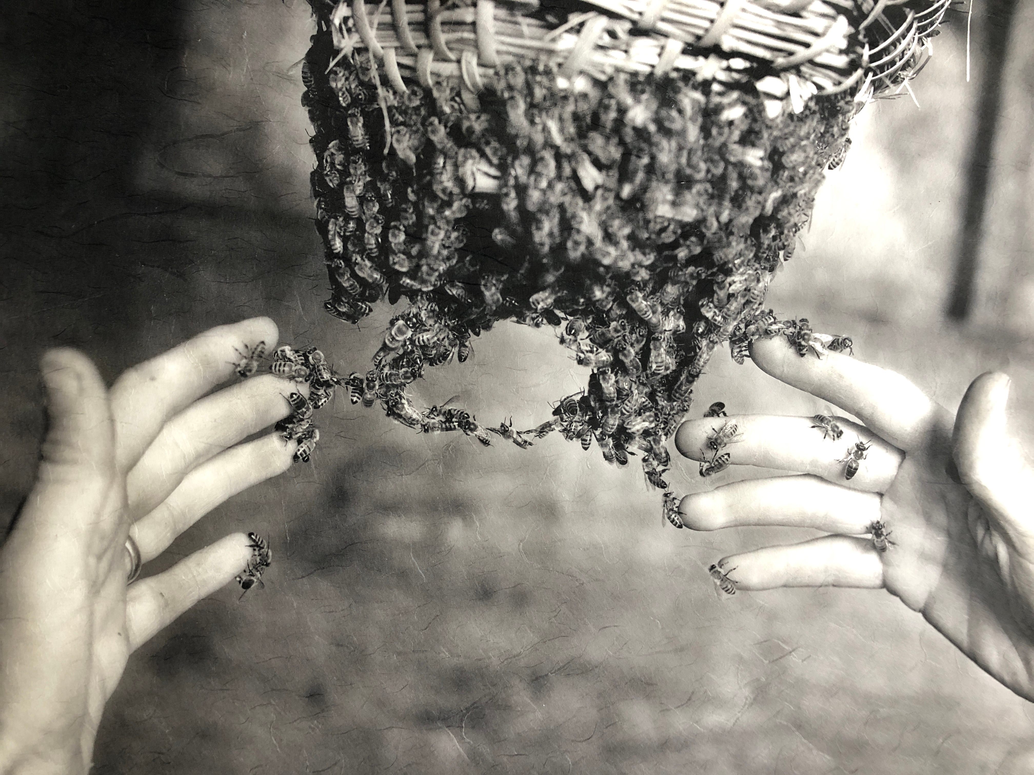 Thiele says that touching a swarm is like feeling someone’s hand.