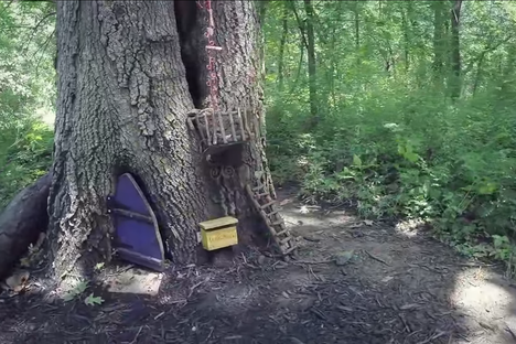 Take a Virtual Tour of the Firefly Forest, a Kansas Park Turned Gnome Village