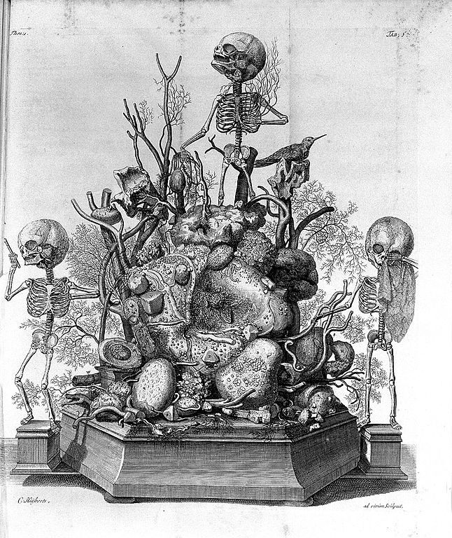 Ruysch, <em>Opera omnia anatomico-medico</em>.