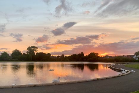 Pond at dusk