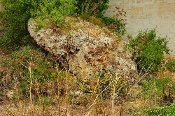 Sansuna’s Rock.