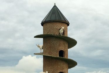 This 30-foot tall brick tower is occupied by a flock of Swiss goats.