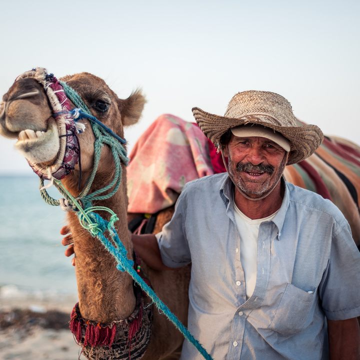 Camel owner