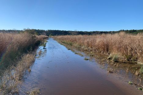 In a waterlogged area, such parts of Dorchester County, archaeological work can be difficult. 