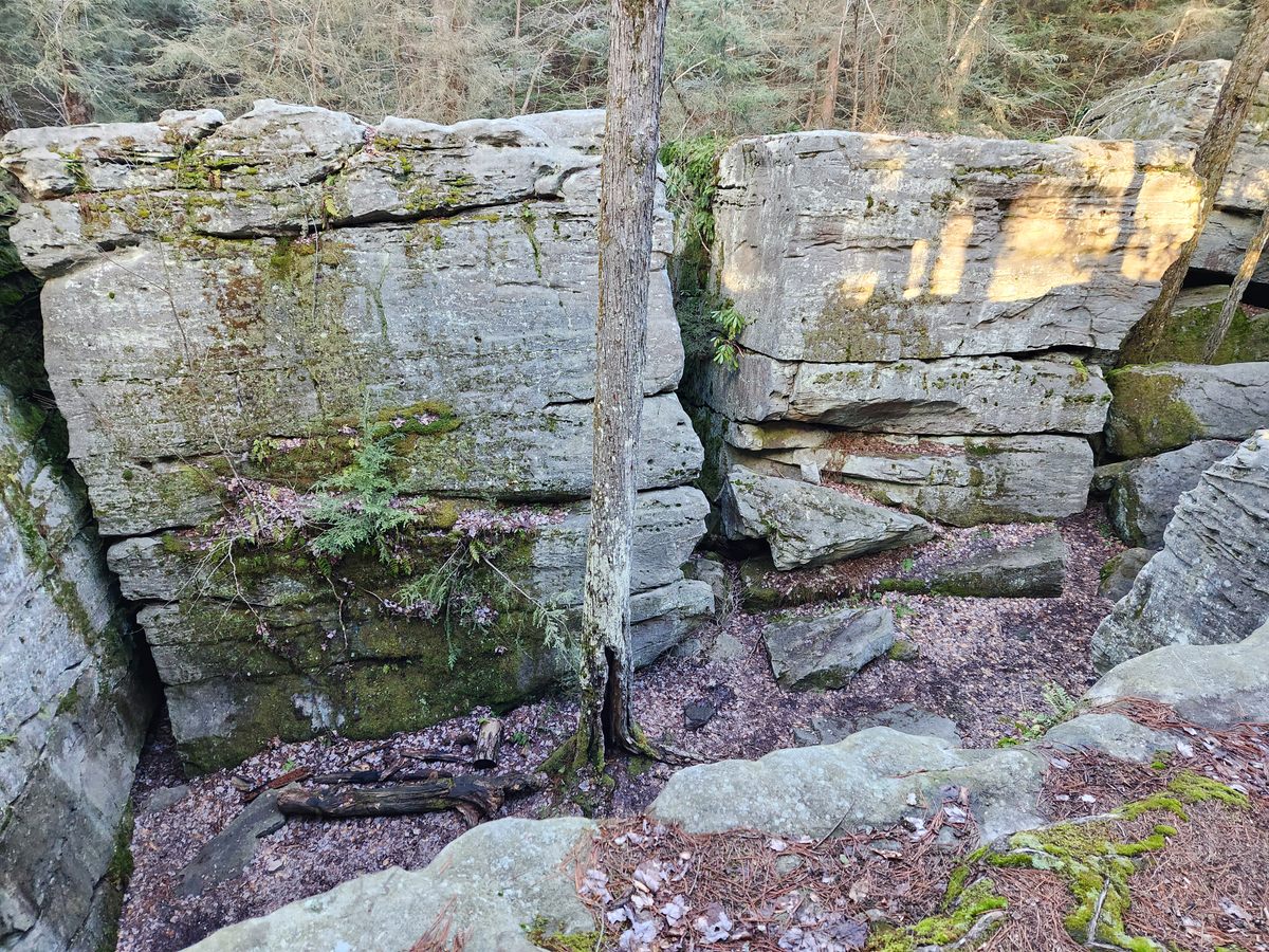 Belger's Rocks Bilger's Rocks – Grampian, Pennsylvania - Atlas Obscura