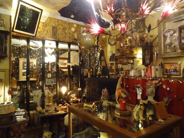 Dr. Wolf’s Wunderkammer in Hann. Münden, Germany