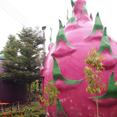 Dragonfruit and mangosteen bungalows.