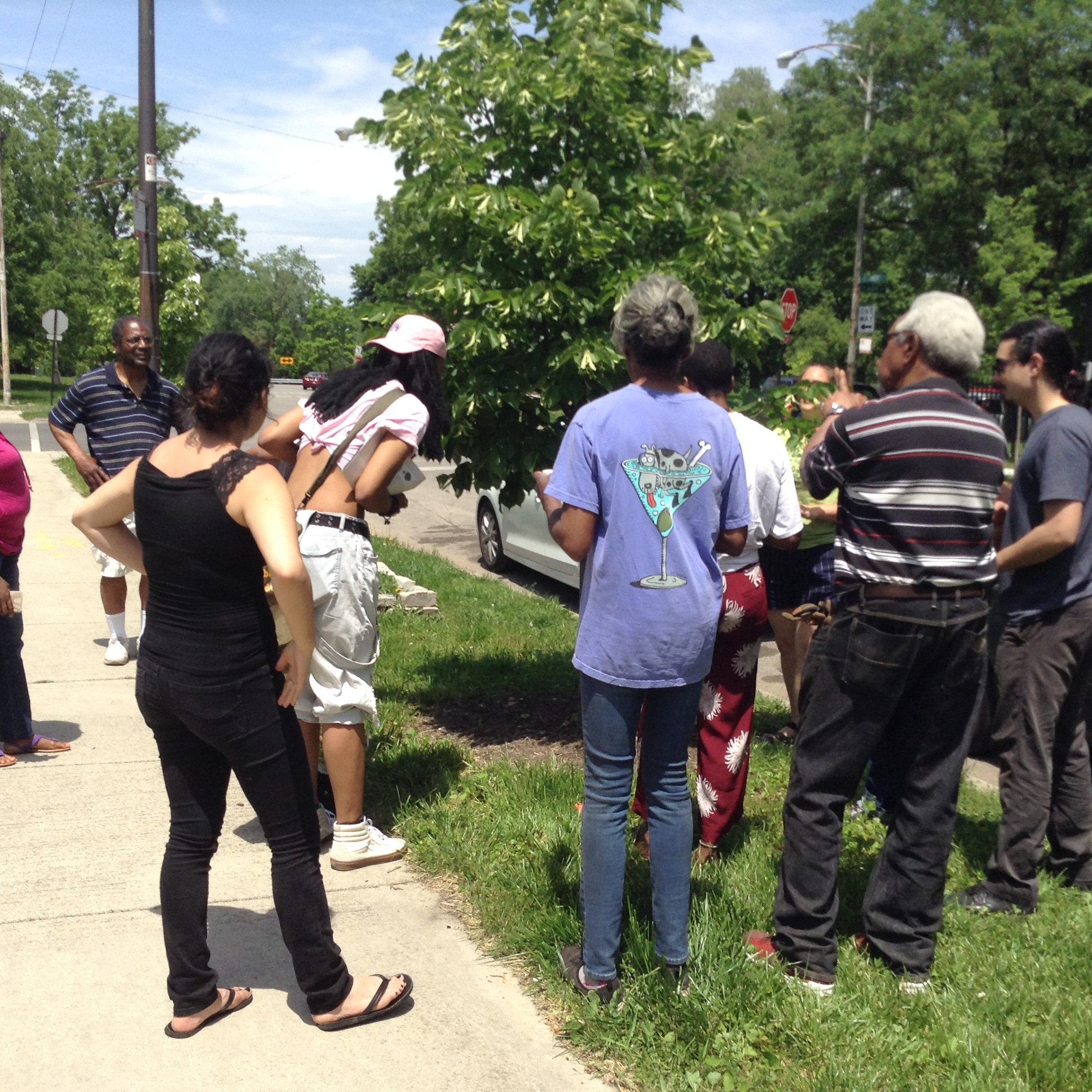 Planting trees with Blacks in Green.